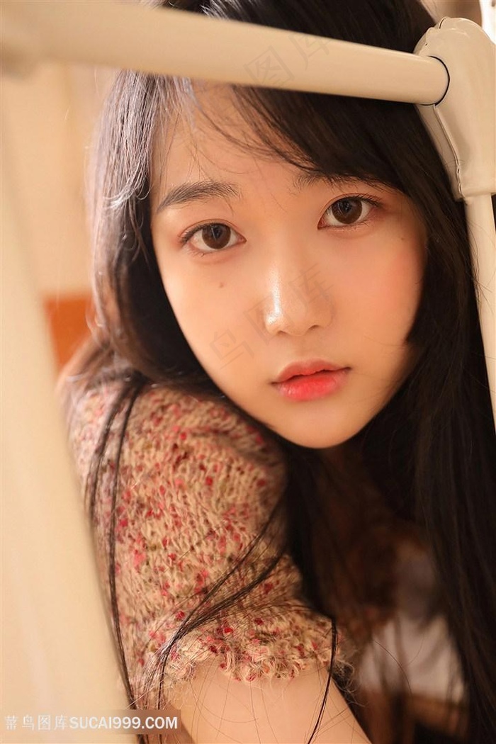 不速之客之嘉宾