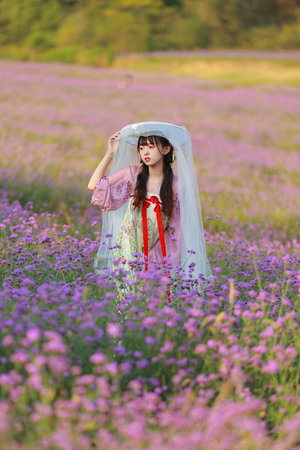 魔剑姬第一季动漫全集免费